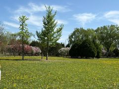 -永定河休闲森林公园