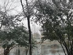 -河海大学(江宁校区)