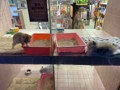 -FAELING PETS美天灵宠物(富力广场店)