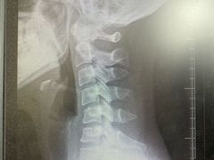 -上海市杨浦区中医医院