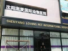 -宠爱国际动物医院· 猫科· 外科·中兽医(长白店)