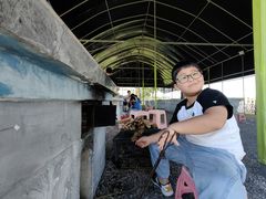 -明珠湖天鹅苑·农家菜馆