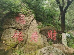 -石老人观光园