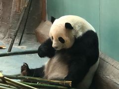 -青藏高原野生动物园