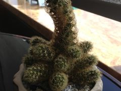 -厦门海港英迪格酒店(中山路店)