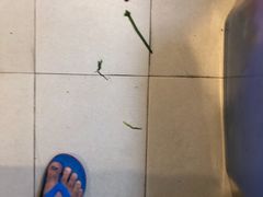 -三亚亚龙湾五号度假别墅酒店