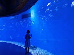 -波塞冬海底世界