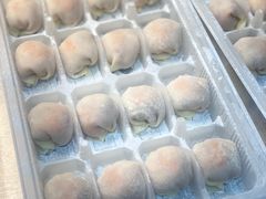 -宜众鲜肉云吞水饺