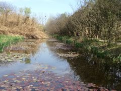 -溱湖国家湿地公园