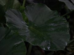 景点-福州动物园