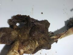 烤羊腿-山丹丹西北菜(金贸大厦店)
