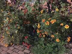 -哈尔滨北方国际青年旅舍(中央大街店)