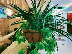 -鸿通城购物中心