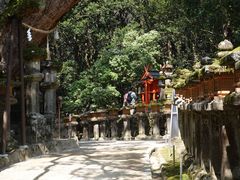 -奈良公园