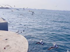 -大连海昌东方水城