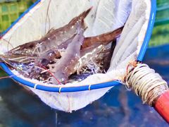 -巽寮印象美食部落餐厅·海鲜·地方特色菜(惠州体验店)
