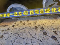 -诸城市恐龙博物馆