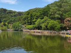 -广州市帽峰山景区