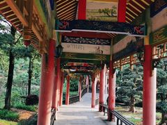 -华雅花园大酒店