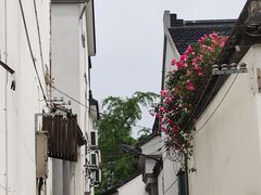 -雨花胜境