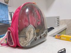 -阿荣24H宠物医院·综合型转诊中心·CT·核磁影像中心