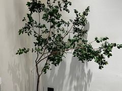 -奈诺甜品·生日蛋糕·下午茶(古城店)