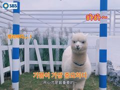 -Blue Concept Cafe&Farm·關於藍