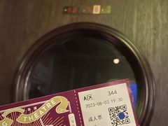 -武汉知音号