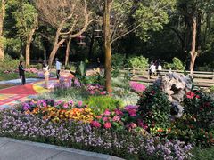 -广州市白云山风景名胜区