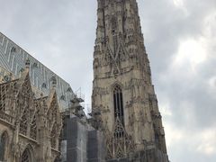 -斯蒂芬主教座堂(Stephansdom)