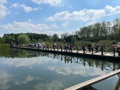 -溱湖国家湿地公园