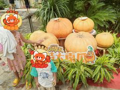 -北戴河集发农业梦想王国