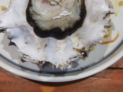 -77号渔船·蒸海鲜青岛菜(积米崖店)