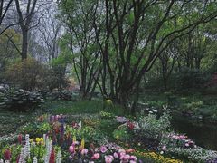 -上海共青森林公园