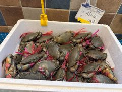 -妈妈菜舟山海鲜(定海古城店)