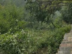 -狼牙山风景区