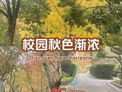 -中山公园