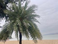 -大桶水·全国旗舰店(体育路店)
