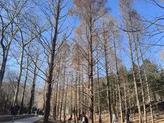 -白水寺森林公园