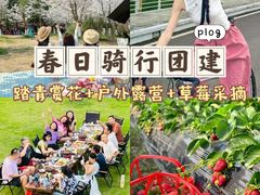 -上海山野camping·户外天幕烧烤·团建拓展营地