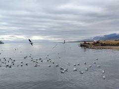-青海湖二郎剑景区