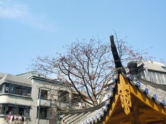 -乌山风景区