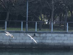 -蠡湖大桥公园
