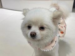 -怪兽屋·羊驼·猫咖·狗咖(俊华广场店)