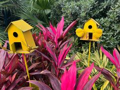 -珠海海泉湾神秘岛亲子乐园