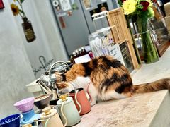 -玫瑰咖啡(中山六路店)