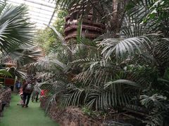 -呀路古热带植物园