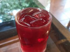 越蔓莓汁伏特加-萨尔瓦多Salvador's