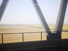 -萧记三鲜烩面(东站店)