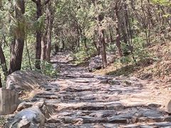 -阳台山自然风景区